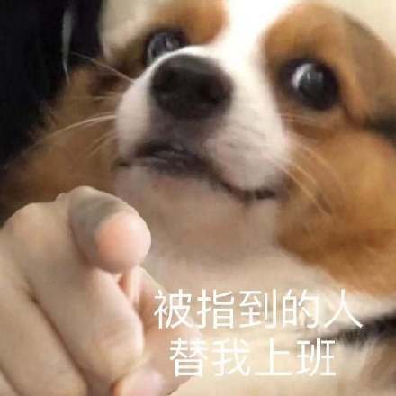湖南省怀化市洪江市茅渡乡敬老院