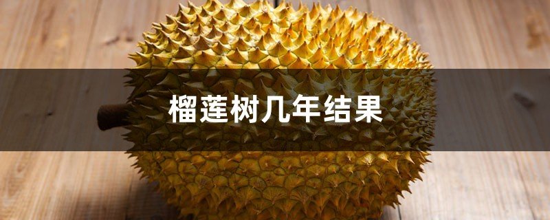 浙江省宁波市奉化市阳光社区居家养老服务中心