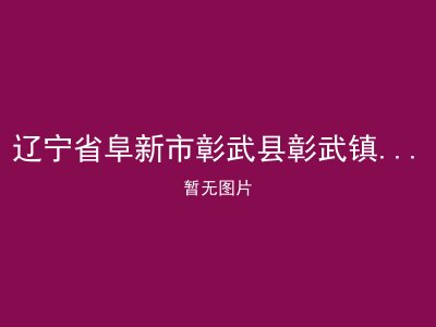 辽宁省阜新市彰武县彰武镇居家养老服务管理中心
