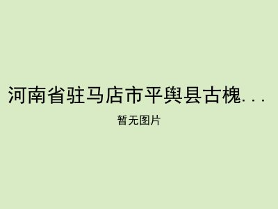 河南省驻马店市平舆县古槐镇福利院