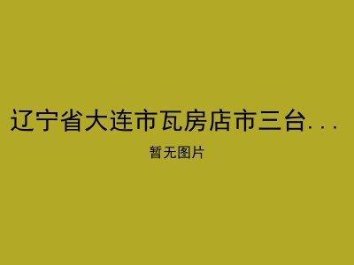 辽宁省大连市瓦房店市三台乡敬老院