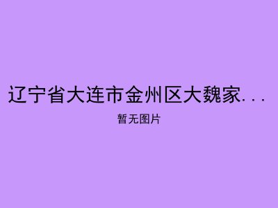 辽宁省大连市金州区大魏家镇敬老院