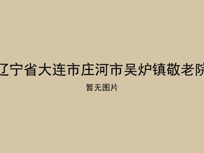 辽宁省大连市庄河市吴炉镇敬老院