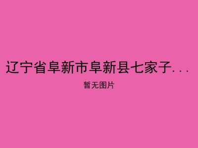 辽宁省阜新市阜新县七家子乡敬老院