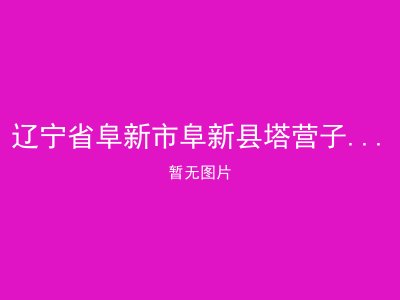 辽宁省阜新市阜新县塔营子乡敬老院