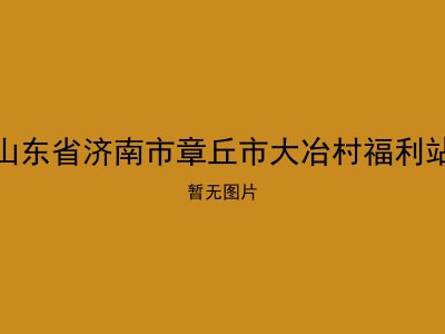 山东省济南市章丘市大冶村福利站