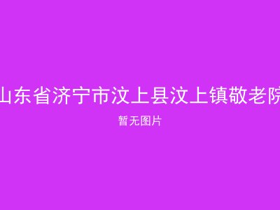 山东省济宁市汶上县汶上镇敬老院
