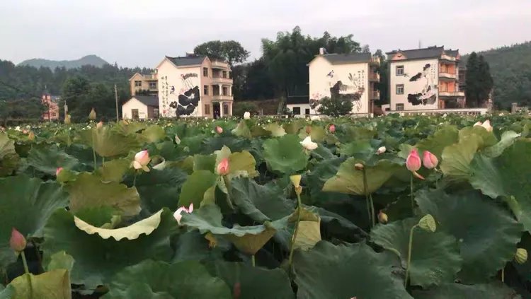 浙江省衢州市常山县白石镇敬老院