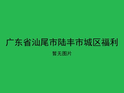 广东省汕尾市陆丰市城区福利