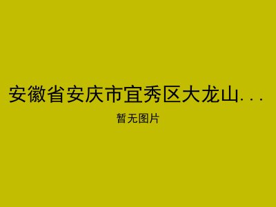 安徽省安庆市宜秀区大龙山镇敬老院