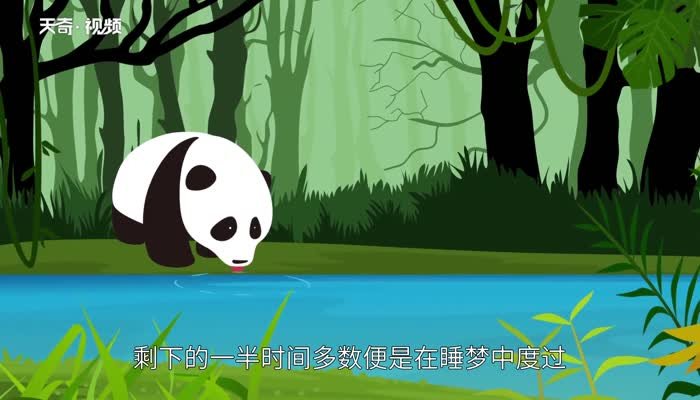甘肃省临夏州永靖县刘家峡活动中心