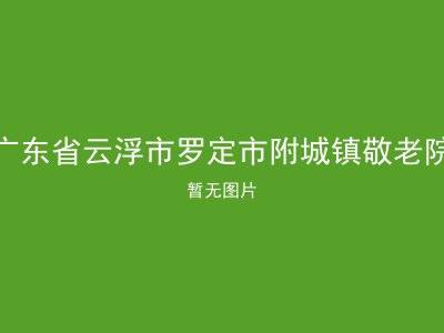 广东省云浮市罗定市附城镇敬老院