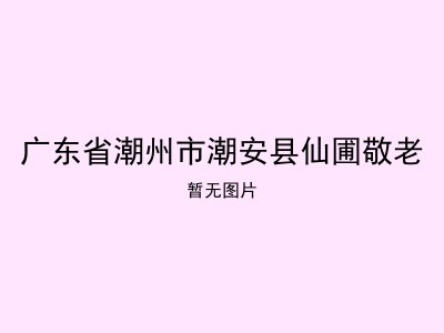 广东省潮州市潮安县仙圃敬老