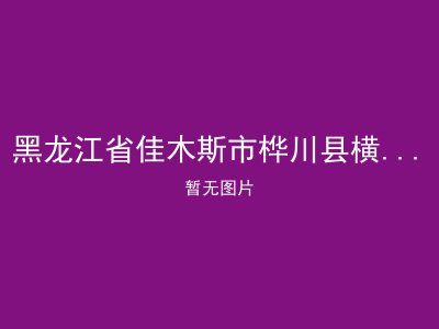黑龙江省佳木斯市桦川县横头山镇敬老院
