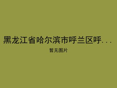 黑龙江省哈尔滨市呼兰区呼兰镇东区敬老院