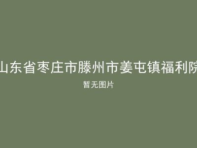 山东省枣庄市滕州市姜屯镇福利院