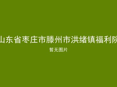 山东省枣庄市滕州市洪绪镇福利院