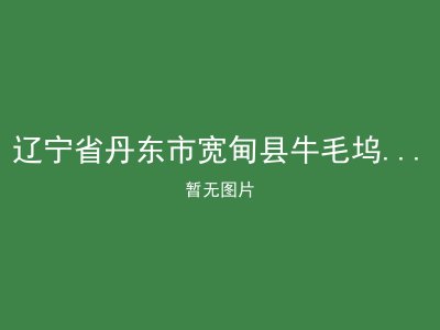 辽宁省丹东市宽甸县牛毛坞镇敬老院