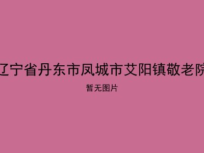 辽宁省丹东市凤城市艾阳镇敬老院