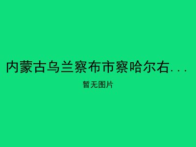 内蒙古乌兰察布市察哈尔右翼前旗平地泉镇敬老院