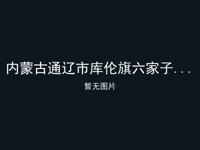 内蒙古通辽市库伦旗六家子镇敬老院