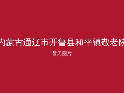 内蒙古通辽市开鲁县和平镇敬老院