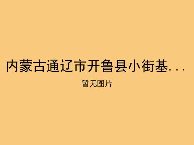 内蒙古通辽市开鲁县小街基镇敬老院