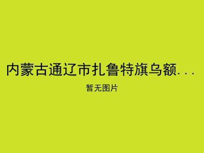 内蒙古通辽市扎鲁特旗乌额格其苏木敬老院