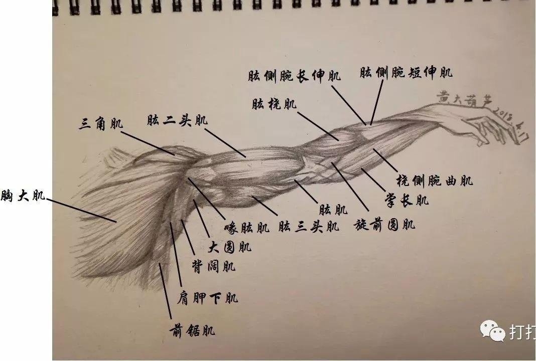 内蒙古乌兰察布市察右前旗白海子镇敬老院