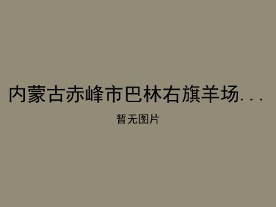 内蒙古赤峰市巴林右旗羊场乡敬老院