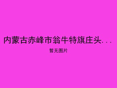 内蒙古赤峰市翁牛特旗庄头营乡敬老院