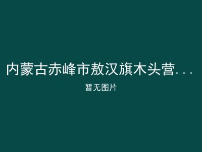 内蒙古赤峰市敖汉旗木头营子乡敬老院