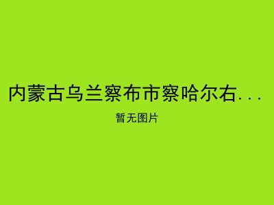 内蒙古乌兰察布市察哈尔右翼中旗苏勒图敬老院