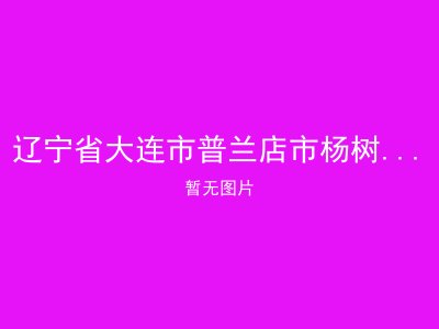 辽宁省大连市普兰店市杨树房镇敬老院