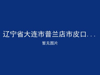 辽宁省大连市普兰店市皮口镇养老服务中心