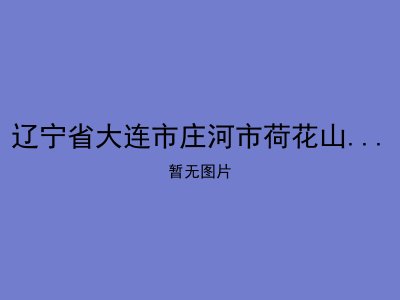 辽宁省大连市庄河市荷花山镇敬老院