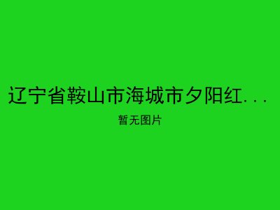 辽宁省鞍山市海城市夕阳红老年公寓