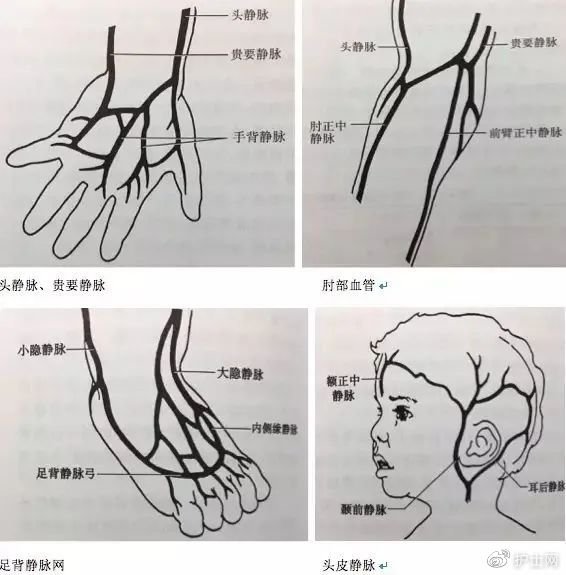 辽宁省丹东市元宝区北麓园老年公寓