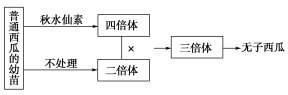辽宁省营口市鲅鱼圈区熊岳镇八三疗养院
