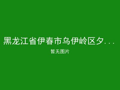 黑龙江省伊春市乌伊岭区夕阳红敬老院