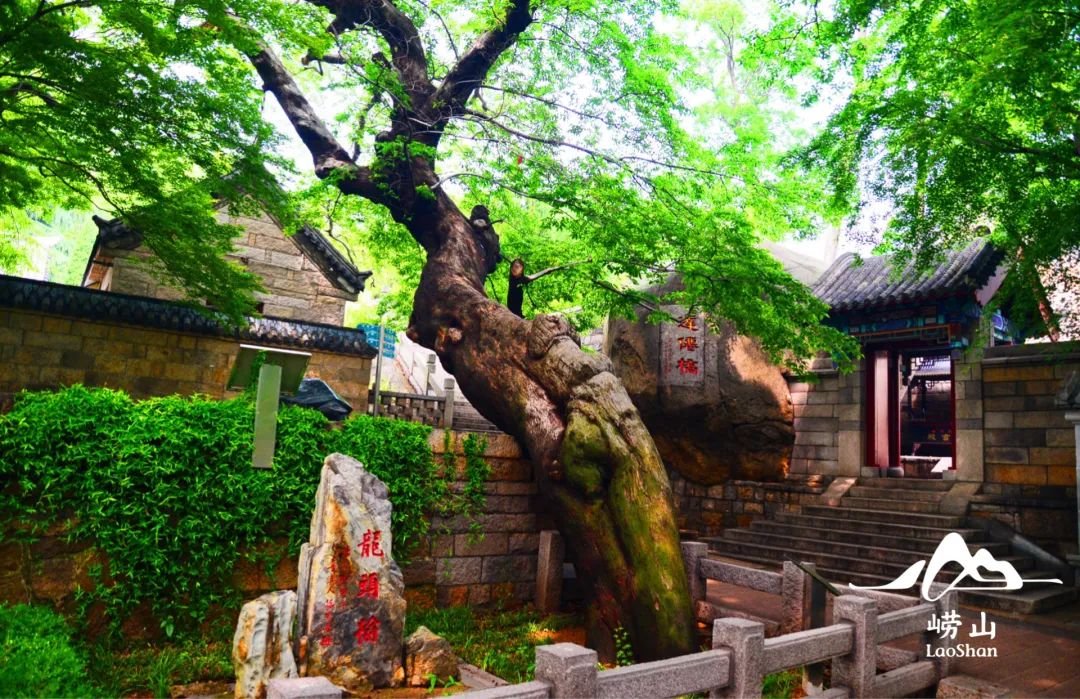 江西省九江市武宁县宋溪镇敬老院
