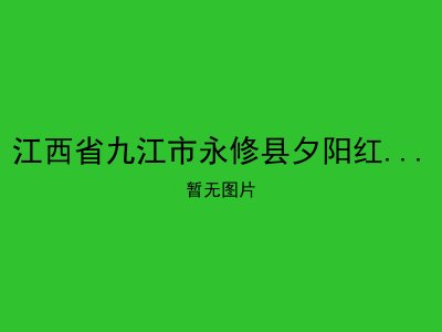 江西省九江市永修县夕阳红老年公寓
