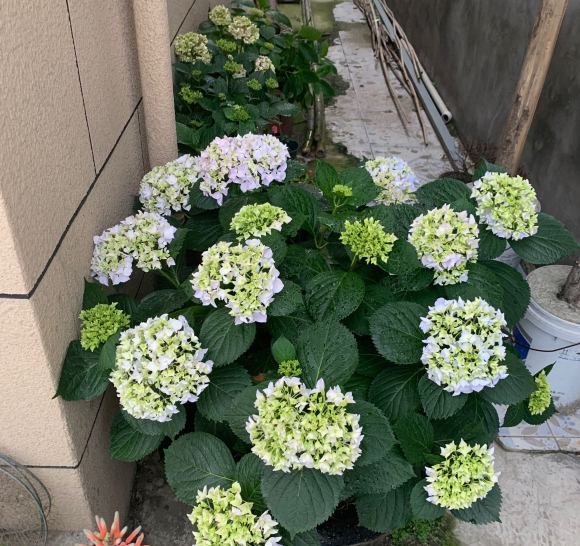 江西省九江市彭泽县马当镇敬老院
