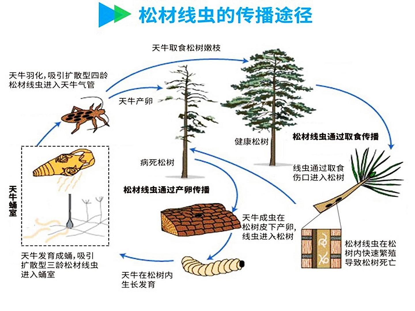 江西省赣州市宁都县敬老院