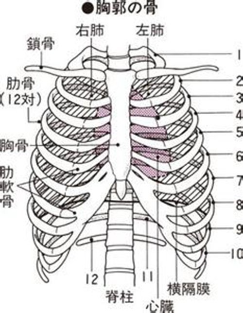 江西省赣州市寻乌县项山乡敬老院