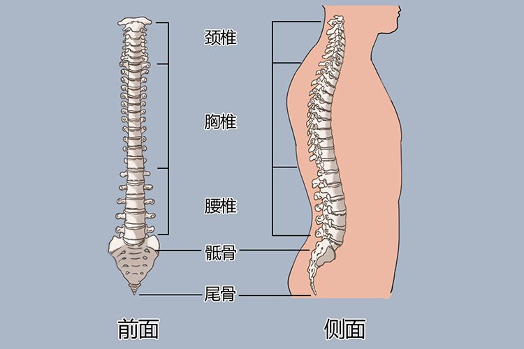 江西省吉安市万安县鹤山雅瑶镇敬老院