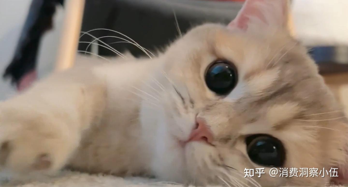 湖南省衡阳市耒阳市沙明乡和平村敬老院