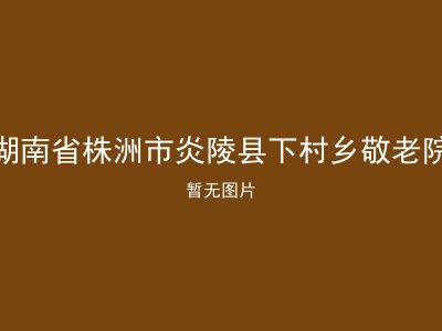 湖南省株洲市炎陵县下村乡敬老院