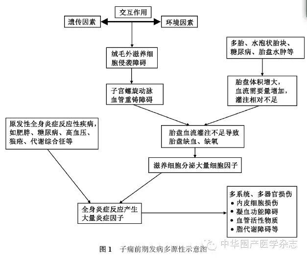 河北省张家口市尚义县八道沟镇敬老院