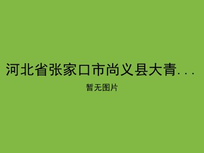 河北省张家口市尚义县大青沟镇敬老院